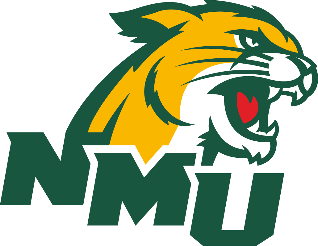 Northern Michigan Wildcats 2016-Pres Secondary Logo 02 iron on paper